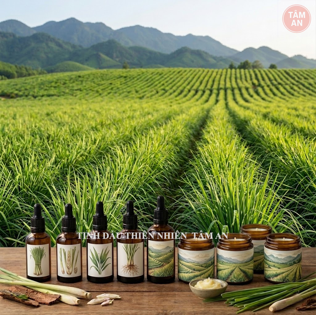 Tinh dầu sả chanh